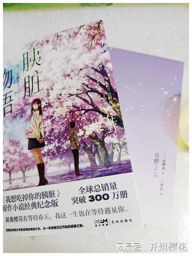 公主的阅读区